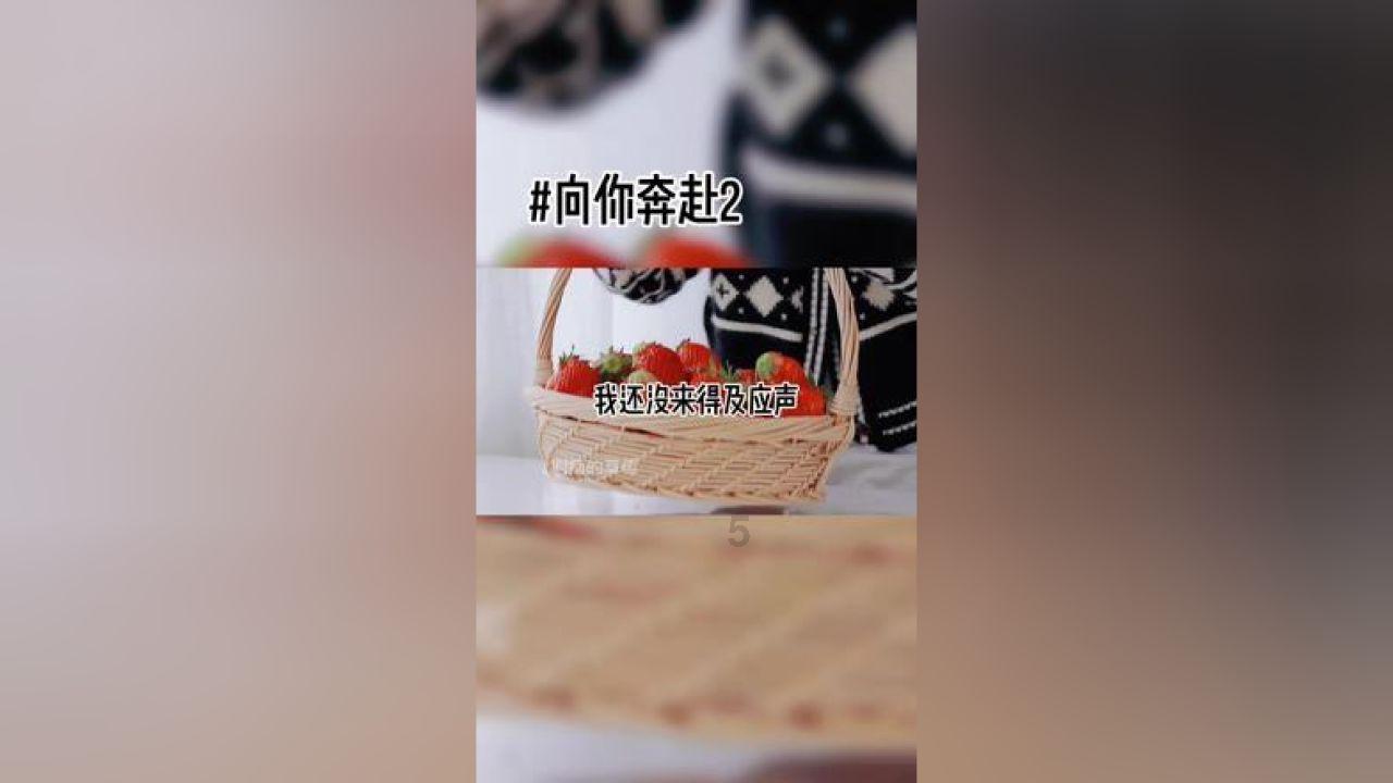 大白猫逃脱
